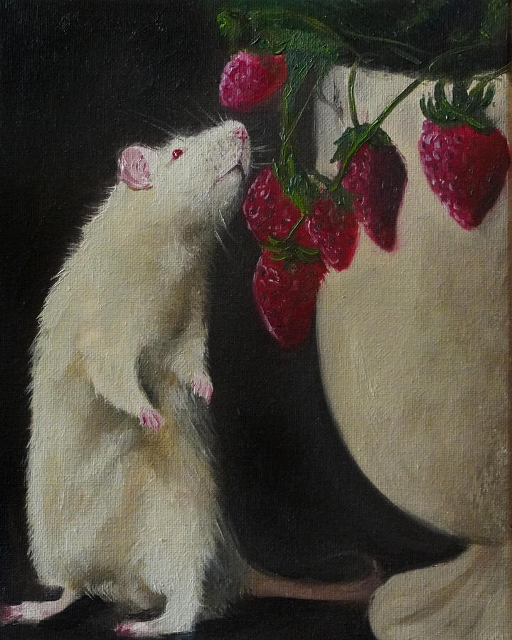 Curiosity (2024), Oil
