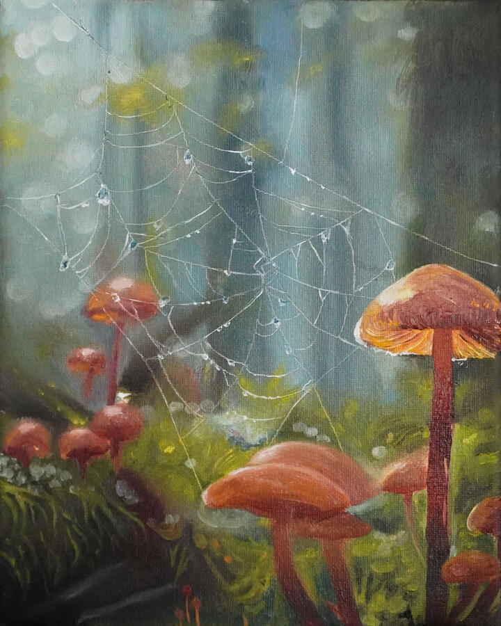 Shrums (2024), Oil